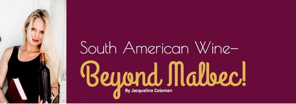 South American Wine: Beyond Malbec!
